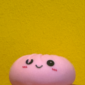 AA SQUISHY DUMPLING MYSTERY (LILLE)